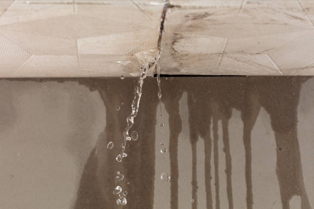 Professional Burst Pipe Cleanup technician working in Oakfield, TN